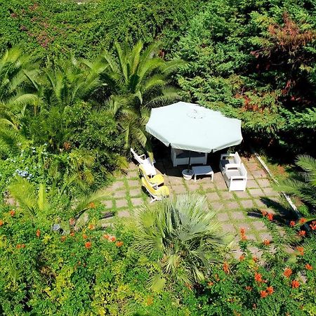 B&B Il Giardino Di Villa Anna Trecase Dış mekan fotoğraf