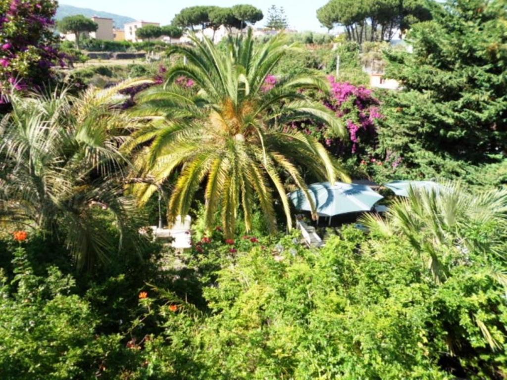 B&B Il Giardino Di Villa Anna Trecase Dış mekan fotoğraf