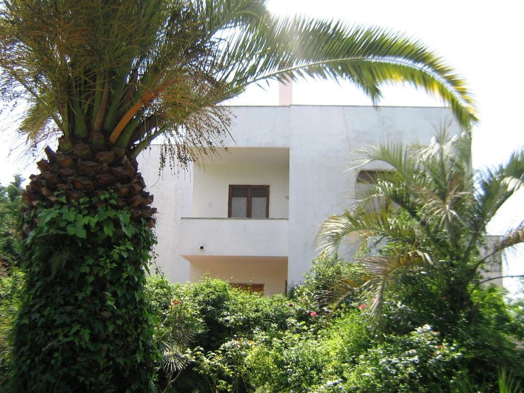 B&B Il Giardino Di Villa Anna Trecase Dış mekan fotoğraf