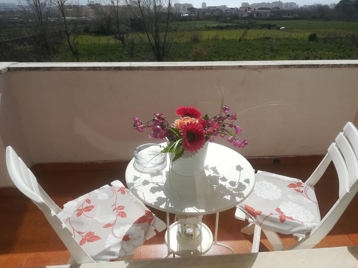 B&B Il Giardino Di Villa Anna Trecase Dış mekan fotoğraf