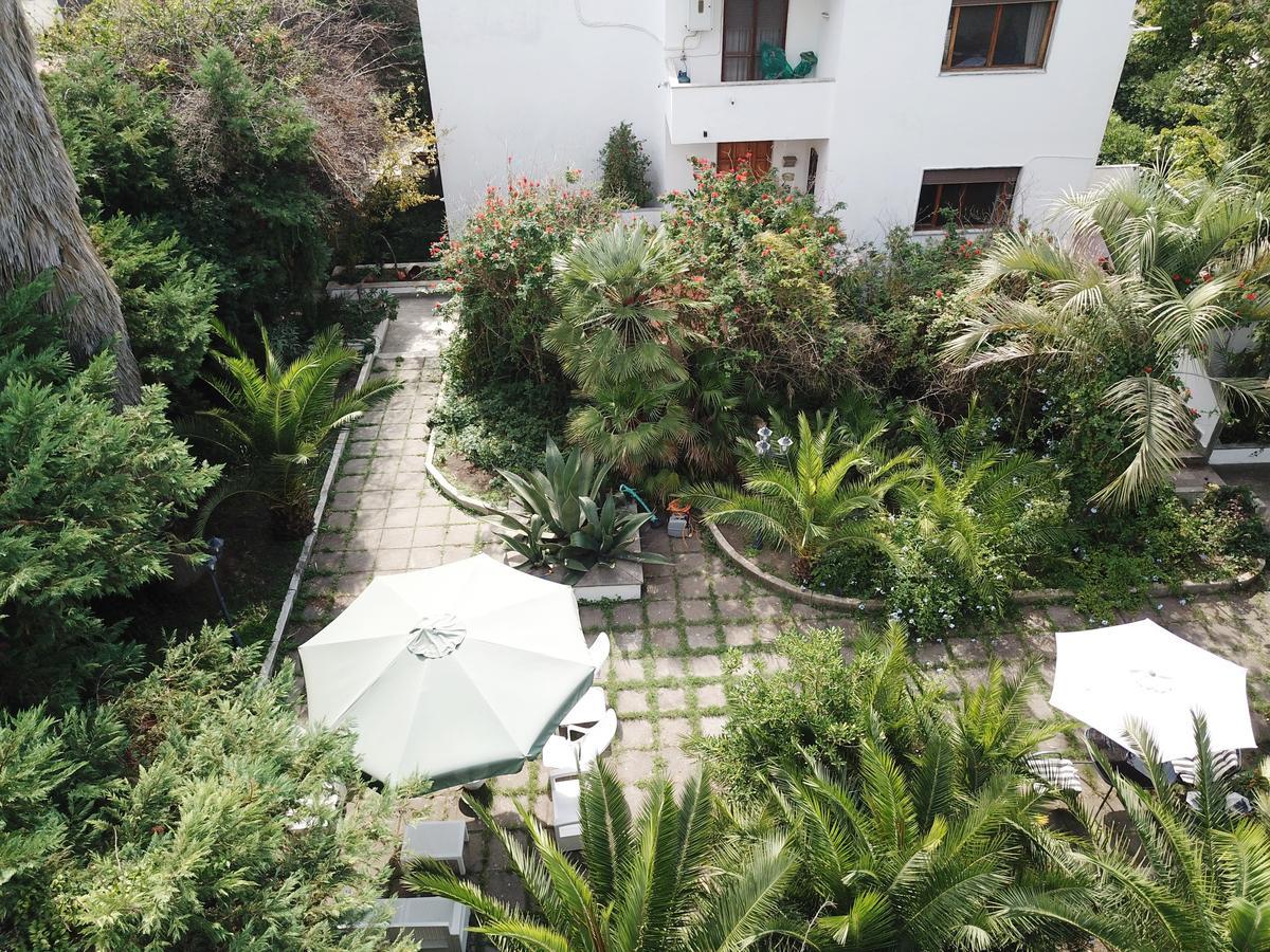 B&B Il Giardino Di Villa Anna Trecase Dış mekan fotoğraf