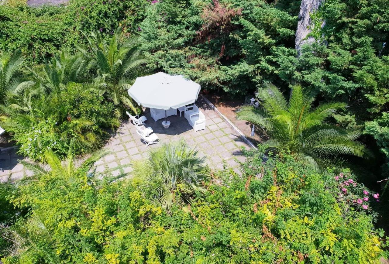 B&B Il Giardino Di Villa Anna Trecase Dış mekan fotoğraf