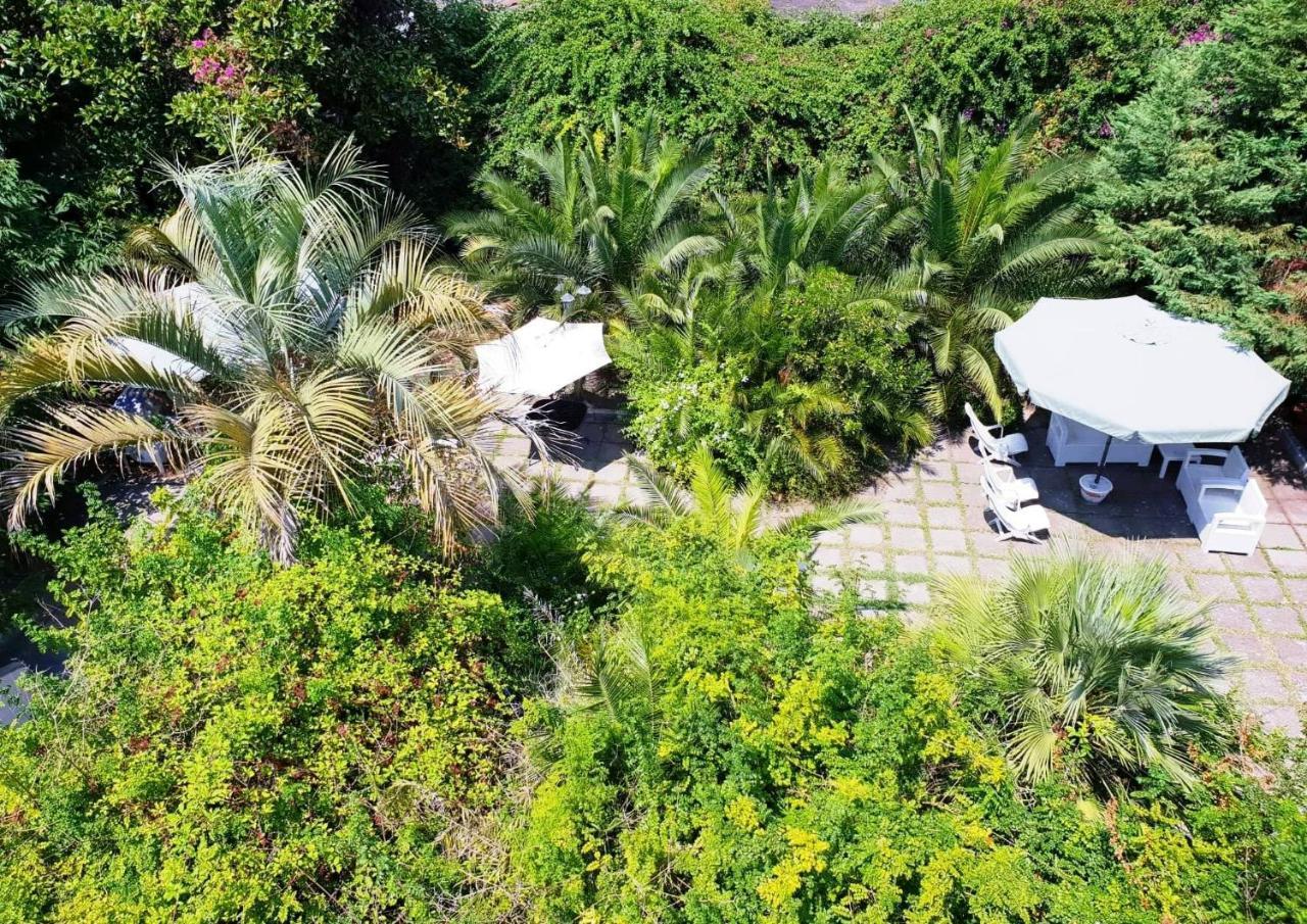 B&B Il Giardino Di Villa Anna Trecase Dış mekan fotoğraf