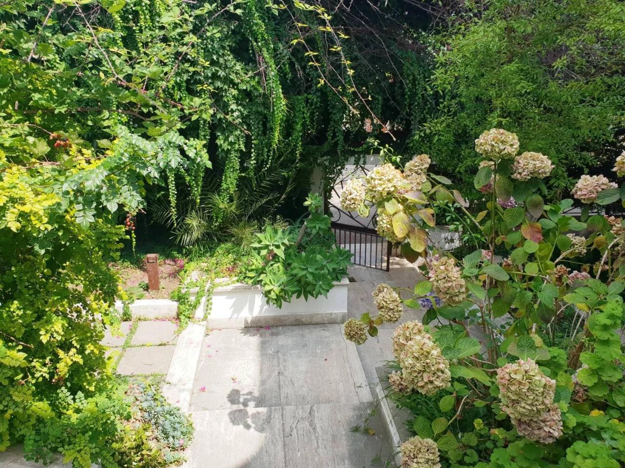 B&B Il Giardino Di Villa Anna Trecase Dış mekan fotoğraf