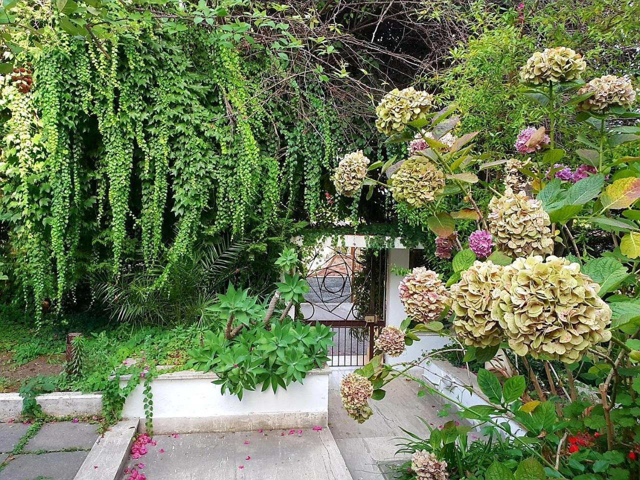 B&B Il Giardino Di Villa Anna Trecase Dış mekan fotoğraf