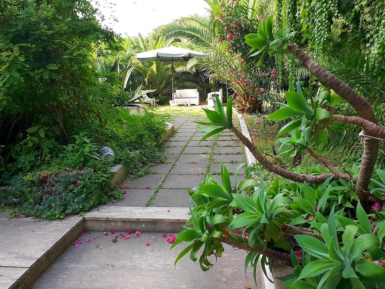 B&B Il Giardino Di Villa Anna Trecase Dış mekan fotoğraf