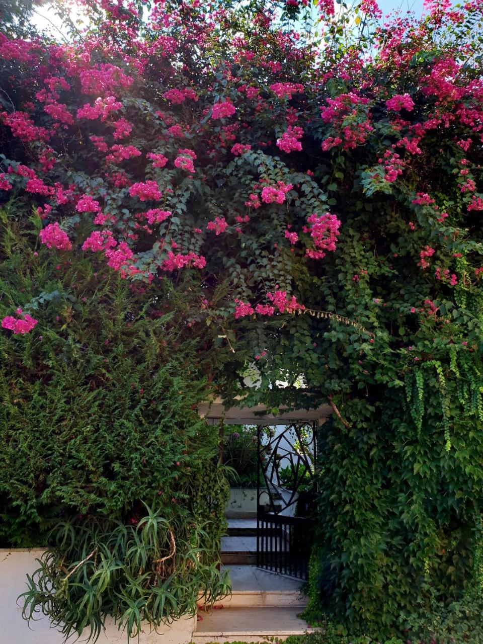 B&B Il Giardino Di Villa Anna Trecase Dış mekan fotoğraf