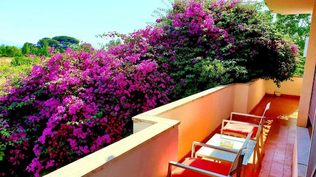 B&B Il Giardino Di Villa Anna Trecase Dış mekan fotoğraf