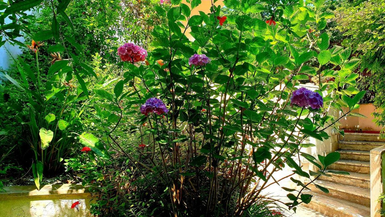 B&B Il Giardino Di Villa Anna Trecase Dış mekan fotoğraf