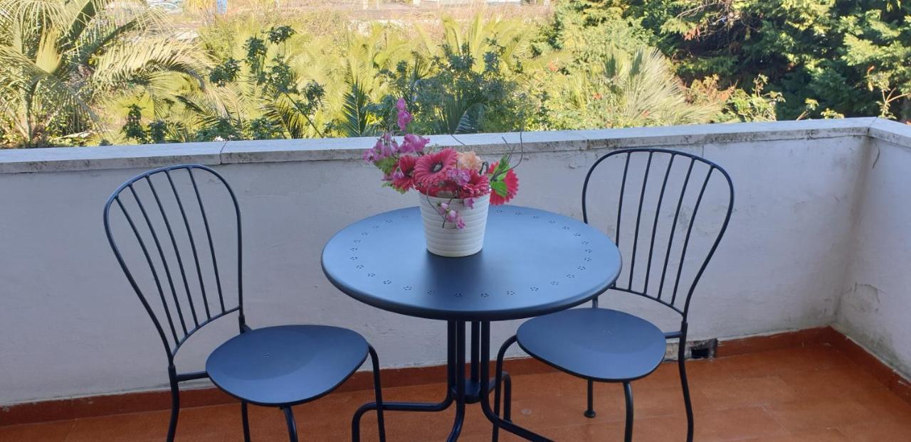 B&B Il Giardino Di Villa Anna Trecase Dış mekan fotoğraf